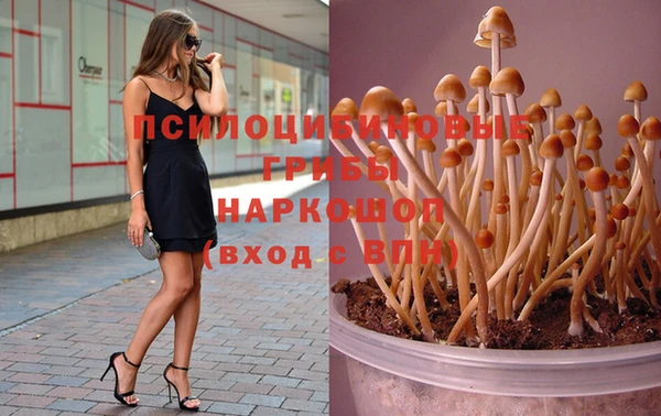 твердый Алзамай