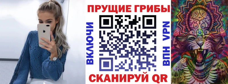 мориарти Telegram  Аксай  Псилоцибиновые грибы MAGIC MUSHROOMS  наркотики 